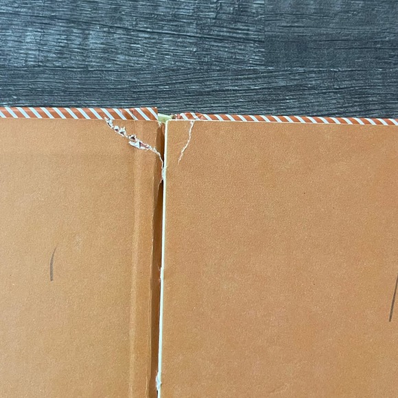 STAY SAFE, PLAY SAFE: A BOOK ABOUT SAFETY RULES by BARBARA SEULING | GOLDEN - Picture 5 of 11